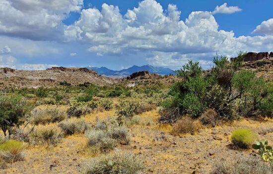 2.5 Acres –  En Dolan Springs, Arizona