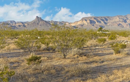 1.15 Acre en Golden Valley, Arizona – Sold