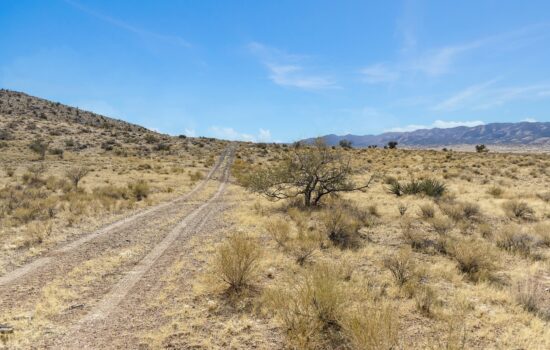 5 Acres en Chloride, Arizona – Sold