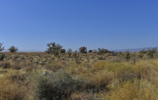 1.25 Acres –  En Dolan Springs, Arizona