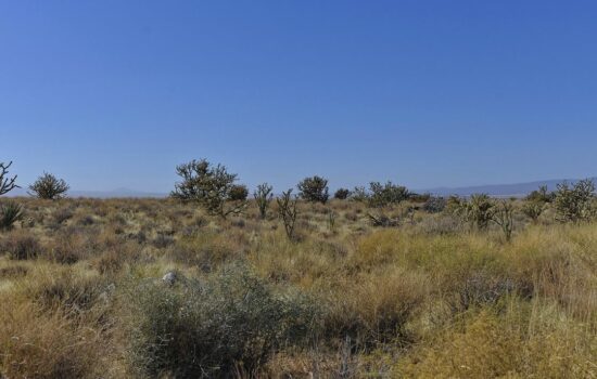5 Acres –  Terreno a la venta en Dolan Springs, Arizona