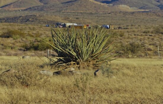 1.25 Acres –  Terreno con Luz a la venta en Dolan Springs, Arizona