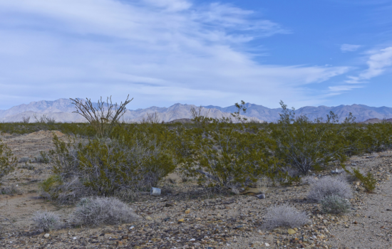 1.07 Acres –  Terreno a la venta en Dolan Springs, Arizona