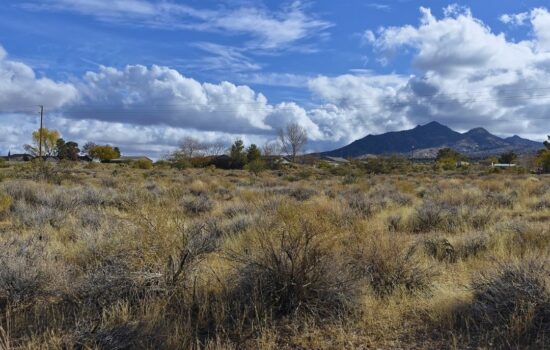 10 Acres –  Terreno a la venta en Dolan Springs, Arizona
